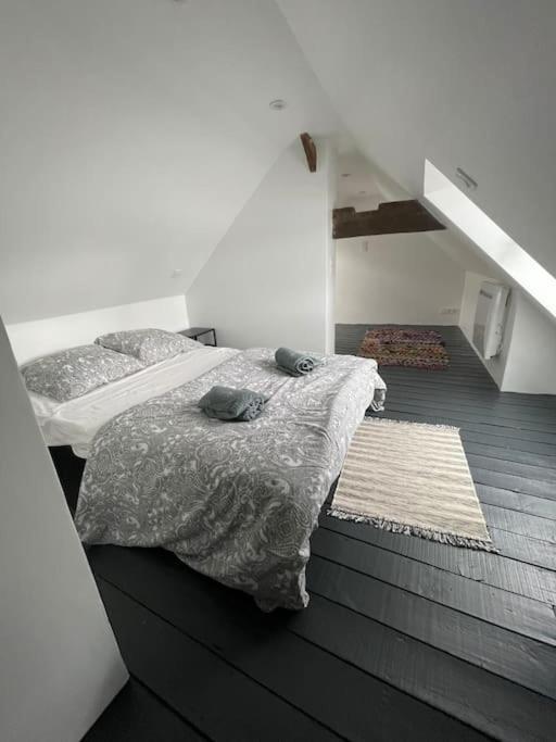 Joli Loft Apartment Ploërmel